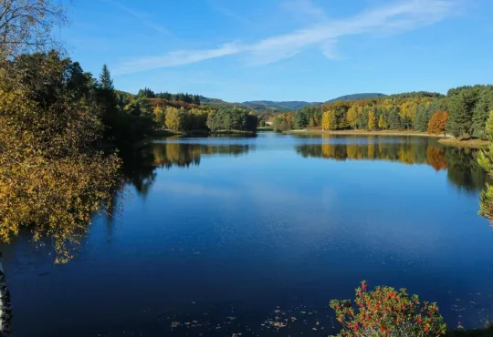 camping a redynamiser.